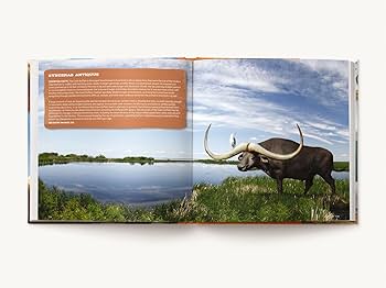 洋書 World Prehistory and the Anthropocene World Prehistory and the Anthropocene: McCorriston, Joy